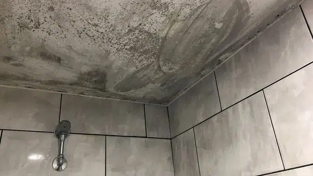 Shower Room with Mold on the Ceiling