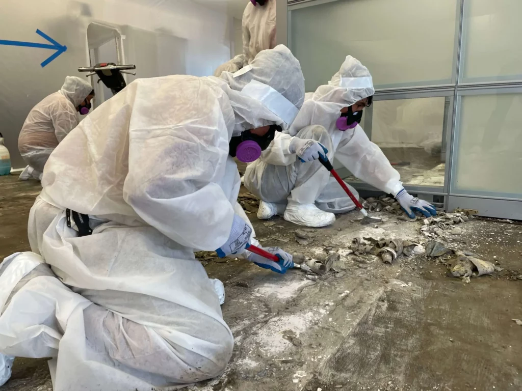 Men Working on residential asbestos Removal